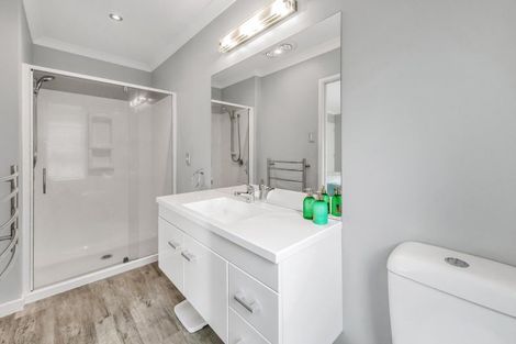 Photo of property in 39 Taumutu Road, Southbridge, 7602