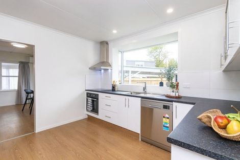 Photo of property in 95 Ruamahanga Crescent, Terrace End, Palmerston North, 4410