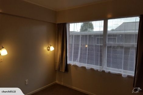 Photo of property in 133 Fitzroy Avenue, Fitzroy, Hamilton, 3206