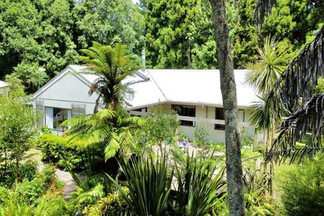 Photo of property in 563b Herepuru Road, Matata, Whakatane, 3194
