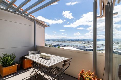 Photo of property in Northridge Apartments Stage Z, 12/22 Hospital Terrace, Hospital Hill, Napier, 4110