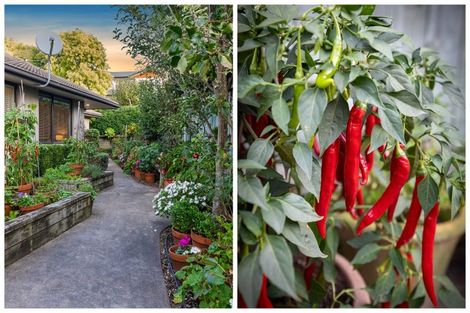 Photo of property in 53 Rexford Heights, Pyes Pa, Tauranga, 3112