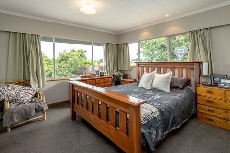 Photo of property in 22 Tiratu Road, Dannevirke, 4976