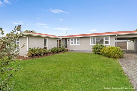 Photo of property in 68 Salisbury Street, Ashhurst, 4810