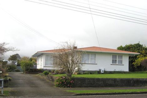 Photo of property in 20 Green Avenue, Levin, 5510