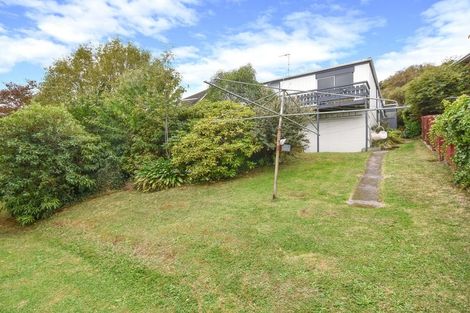 Photo of property in 33 Elliffe Place, Shiel Hill, Dunedin, 9013