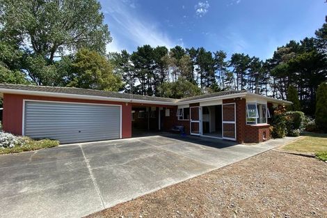 Photo of property in 906 State Highway 1, Himatangi, Foxton, 4891