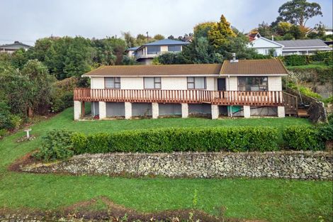 Photo of property in 14 Coulter Place, Geraldine, 7930