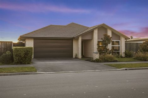 Photo of property in 51 Te Rito Street, Marshland, Christchurch, 8083