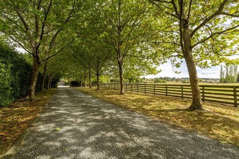 Photo of property in 120 Cox Street, Geraldine, 7930