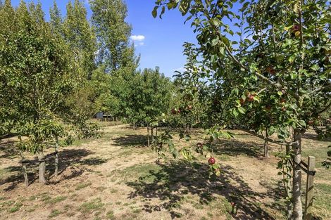 Photo of property in 151 Boyd Road, Gordonton, Hamilton, 3281