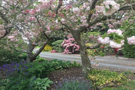 Photo of property in 46g Johnson Road, Otakiri, Whakatane, 3192