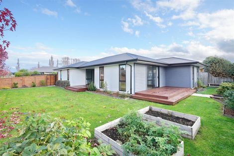 Photo of property in 9 Seaward Street, Pegasus, 7612