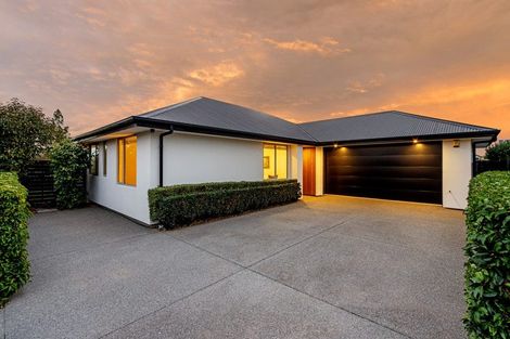 Photo of property in 55 Te Rito Street, Marshland, Christchurch, 8083