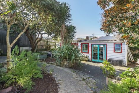 Photo of property in 25 Wright Street, Mount Cook, Wellington, 6021