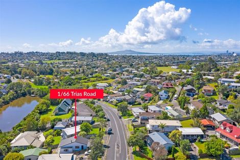 Photo of property in 66a Trias Road, Totara Vale, Auckland, 0629
