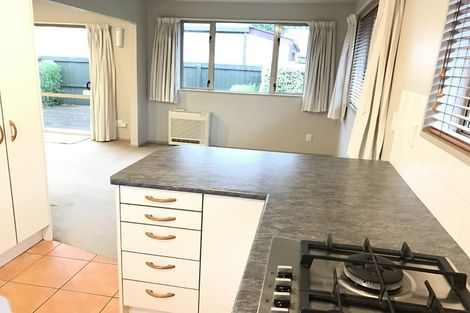 Photo of property in 121 Canon Street, Edgeware, Christchurch, 8013