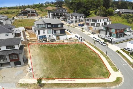 Photo of property in 55 Armstrong Farm Drive, East Tamaki Heights, Auckland, 2016