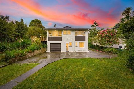 Photo of property in 53 Pine Avenue, Henderson, Auckland, 0612