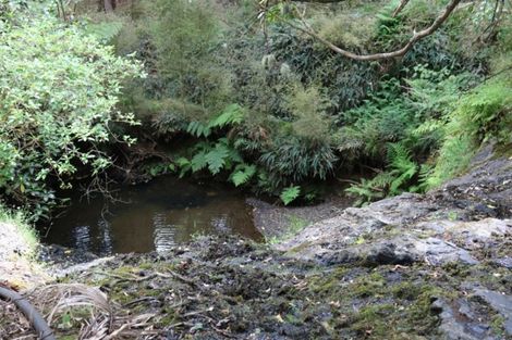 Photo of property in 1008 Tangowahine Valley Road, Tangowahine, Dargaville, 0372