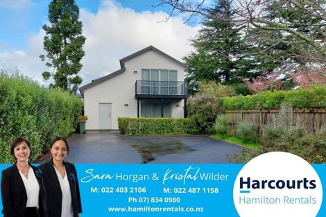 Photo of property in 244 Clyde Street, Hamilton East, Hamilton, 3216