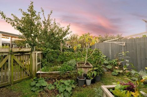 Photo of property in 5 Harris Street, Mount Maunganui, 3116