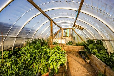 Photo of property in 280 Austin Road, Normanby, Hawera, 4673