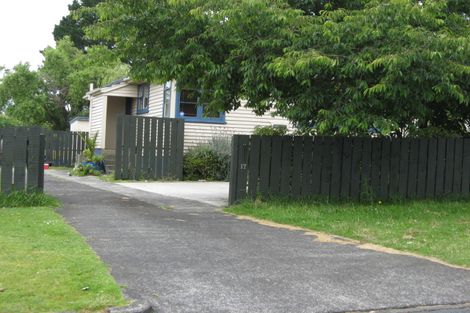 Photo of property in 17 Birdwood Road, Pukekohe, 2120