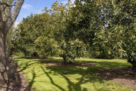 Photo of property in 19 Henry Road, Katikati, 3129