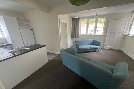 Photo of property in 217 Aro Street, Aro Valley, Wellington, 6021