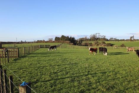 Photo of property in 20 Tariki Road South, Tariki, Stratford, 4390