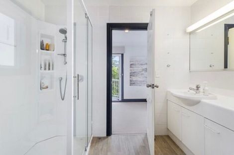 Photo of property in 11a Mount Street, Te Aro, Wellington, 6011