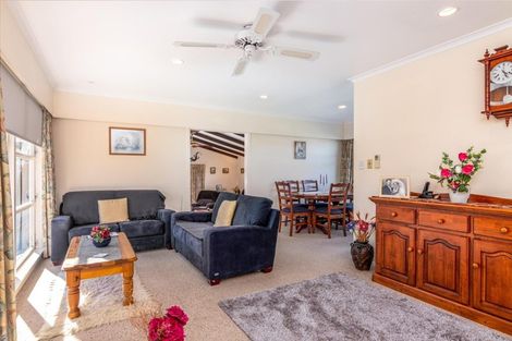 Photo of property in 133 Cockburn Street, Kuripuni, Masterton, 5810