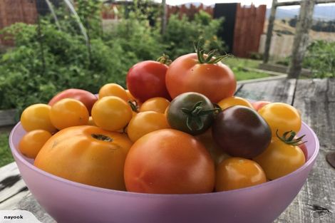 Photo of property in 6c Hinckley Road, Aongatete, Katikati, 3181