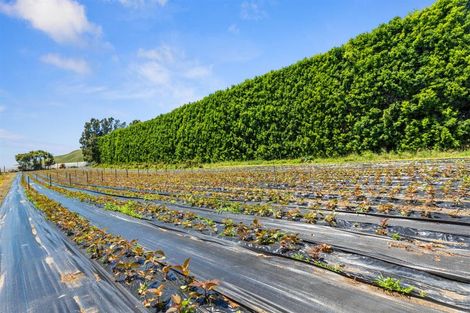 Photo of property in 1568a Old Coach Road, Pukehina, 3186