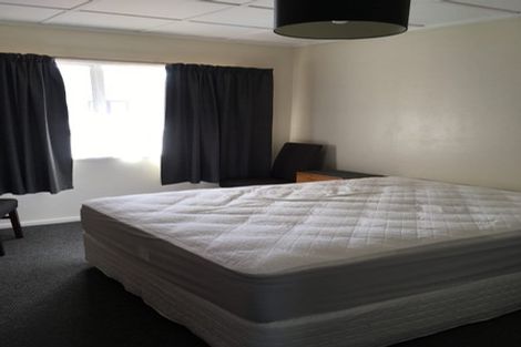 Photo of property in 29b Stewart Crescent, Hokowhitu, Palmerston North, 4410