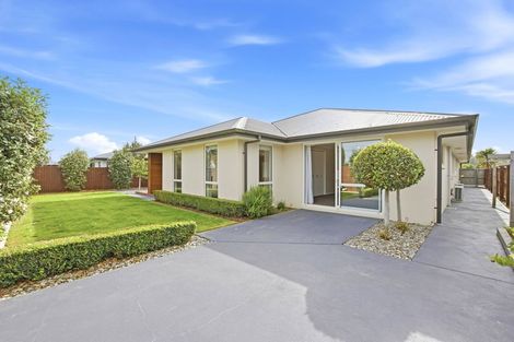 Photo of property in 117 Metehau Street, Marshland, Christchurch, 8083