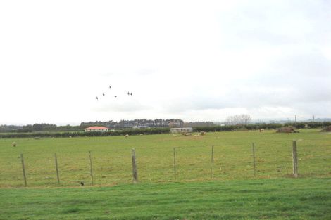 Photo of property in 63 Manse Street, Edendale, 9825