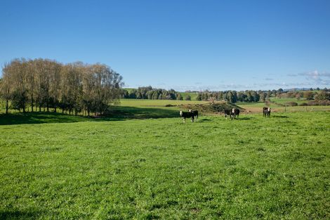 Photo of property in 11 Waiari Road, Pirongia, Te Awamutu, 3876