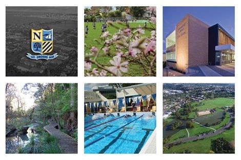 Photo of property in 20 Park Avenue, Birkenhead, Auckland, 0626