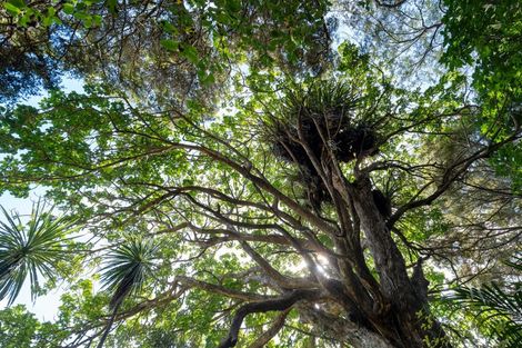 Photo of property in 15 Turiapua Lane, Parua Bay, Whangarei, 0174