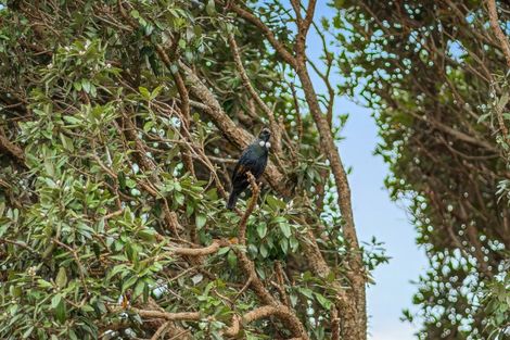 Photo of property in 38 Pacific Parade, Army Bay, Whangaparaoa, 0930