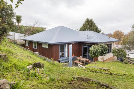 Photo of property in 32 Wellesley Street, Feilding, 4702