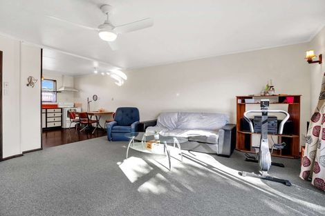 Photo of property in 3/8 Patching Street, Hampstead, Ashburton, 7700