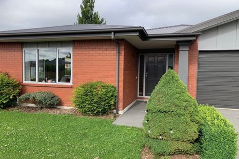 Photo of property in 35 Colligan Street, Upper Riccarton, Christchurch, 8041