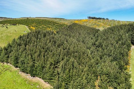 Photo of property in 242 Caroline Valley Road, Caroline, Dipton, 9791