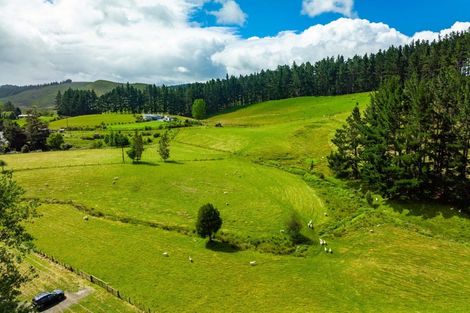 Photo of property in 1941 Tangowahine Valley Road, Tangowahine, Dargaville, 0372