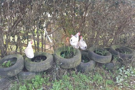 Photo of property in 7 James Road, Maungaturoto, 0587