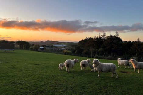 Photo of property in 472 Wilton Collieries Road, Glen Massey, Ngaruawahia, 3794