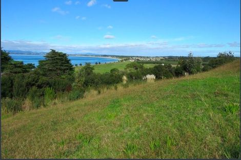 Photo of property in 12 Akeake Crescent, Karikari Peninsula, 0483